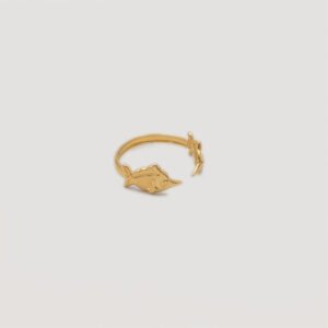 Bothemians-ring-fish-back