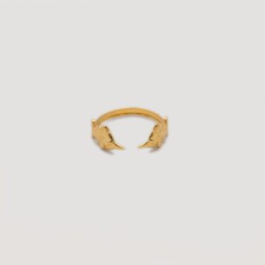 Bothemians-waterproof-ring-fish