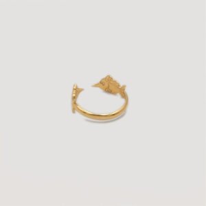 double-fish-ring-bothemians-back