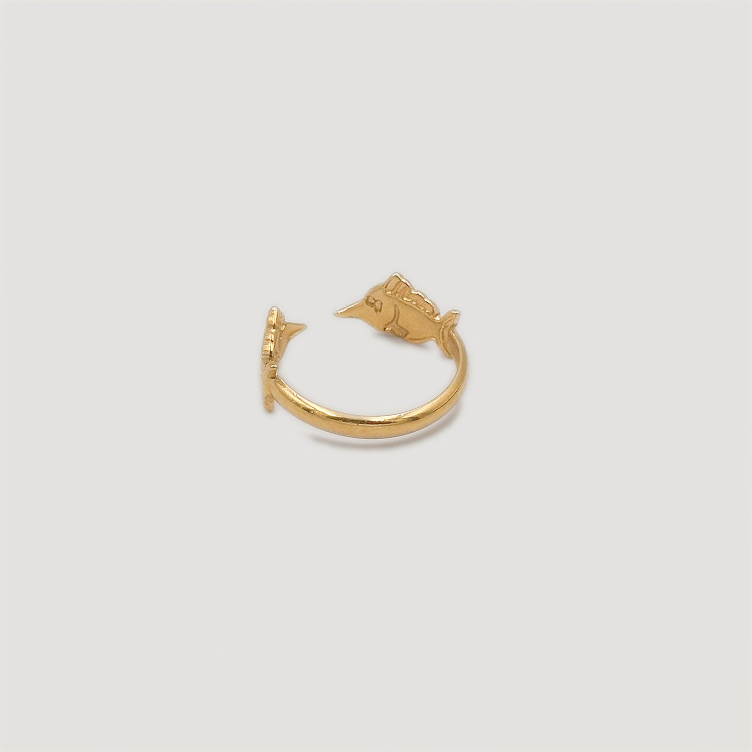double-fish-ring-bothemians-back