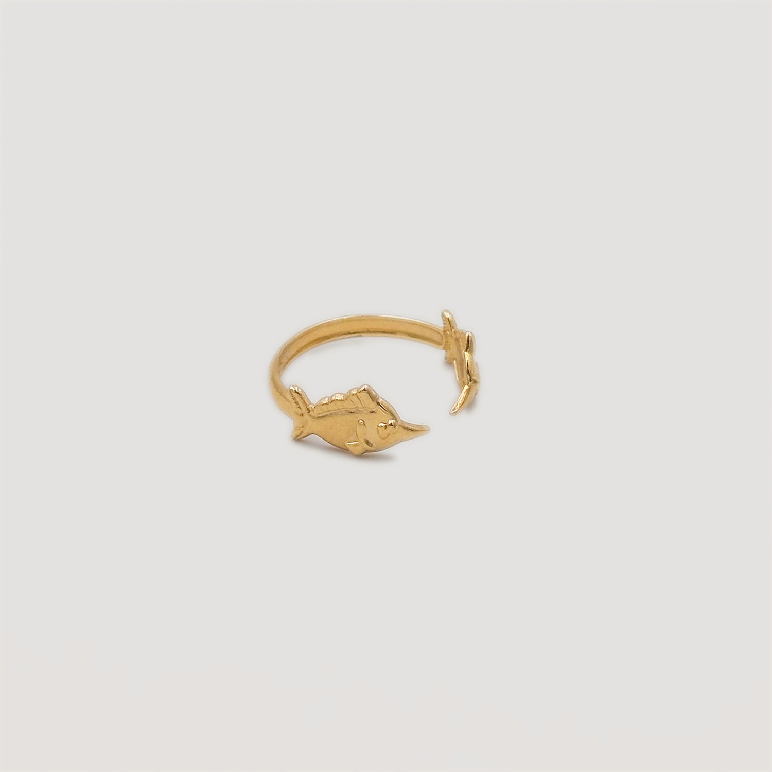 Bothemians-ring-fish-back