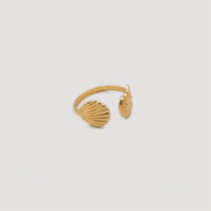 Bothemians-ring-seashell-left