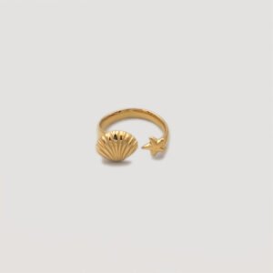 Bothemians-waterproof-ring-goldplated-main