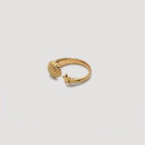 Bothemians-waterproof-ring-goldplated