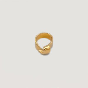 Quinn-Bothemians-ring1
